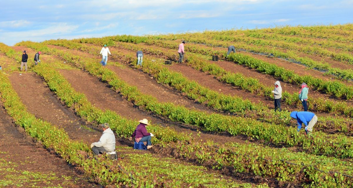 LUNA V. COUNTY OF KERN: MALDEF AND LATINO VOTERS ACHIEVE LANDMARK VICTORY