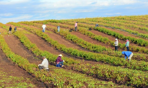 LUNA V. COUNTY OF KERN: MALDEF AND LATINO VOTERS ACHIEVE LANDMARK VICTORY